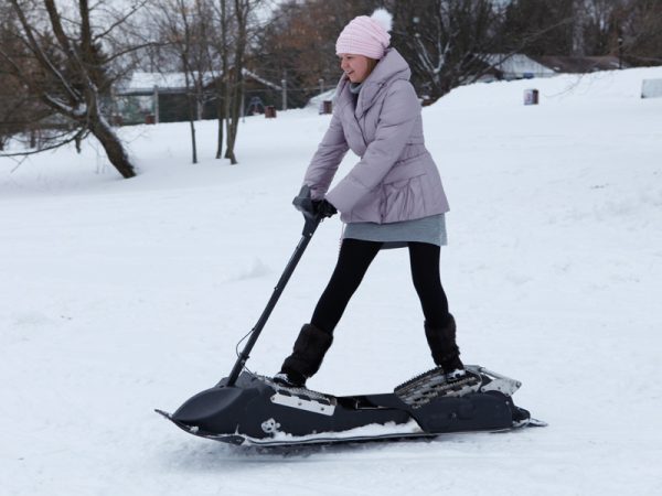 Мото сноуборд электро_5